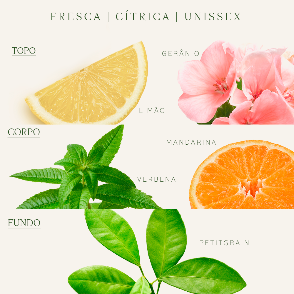 Eau de Toilette Verbena 100ml | L'Occitane en Provence